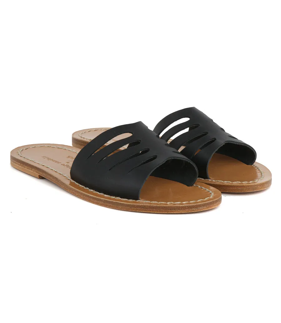 HEMERA BLACK